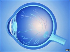 Роговица играет важнейшую роль в формировании зрительного образа глазом 