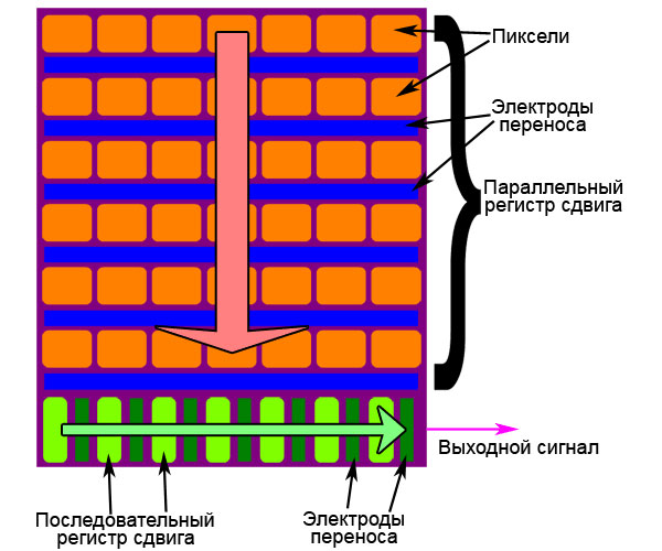 Рис. 7. Принцип считывания информации с двумерной ПЗС-матрицы (изображение сайта с ferra.ru)