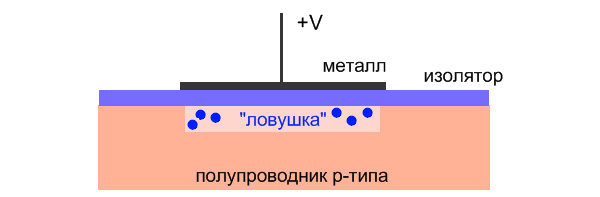 Рис. 5. Схема устройства простейшей МОП-структуры (рисунок И. Иванова)